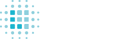 Levy Professionals